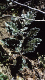 Select an image to enlarge