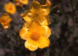 Select an image to enlarge