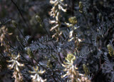 Select an image to enlarge