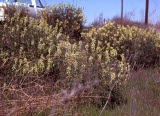 Select an image to enlarge