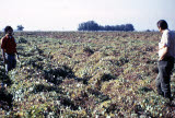 Select an image to enlarge