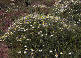 Select an image to enlarge