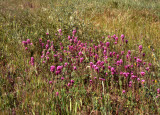 Select an image to enlarge