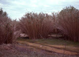 Select an image to enlarge