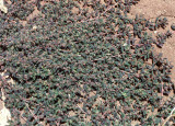Select an image to enlarge