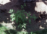 Select an image to enlarge