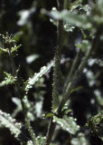 Select an image to enlarge