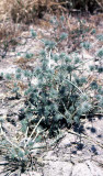 Select an image to enlarge