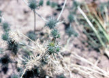 Select an image to enlarge