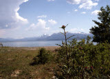 Select an image to enlarge
