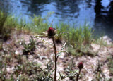 Select an image to enlarge