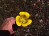 Select an image to enlarge