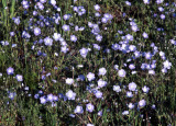 Select an image to enlarge