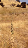 Select an image to enlarge