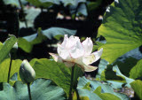 Select an image to enlarge