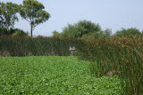 Select an image to enlarge