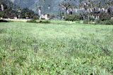Select an image to enlarge