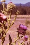 Select an image to enlarge