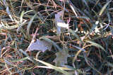 Select an image to enlarge