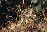 Select an image to enlarge