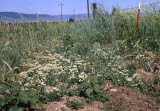 Select an image to enlarge