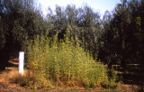 Select an image to enlarge