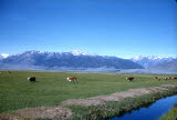 Select an image to enlarge