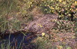 Select an image to enlarge