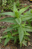 Select an image to enlarge