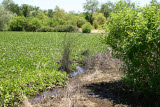 Select an image to enlarge