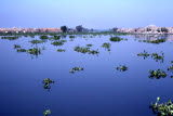 Select an image to enlarge