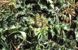 Select an image to enlarge