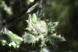 Select an image to enlarge