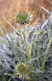 Select an image to enlarge