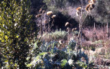 Select an image to enlarge