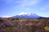 Select an image to enlarge