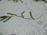 Select an image to enlarge