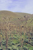 Select an image to enlarge