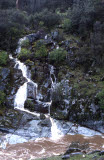 Select an image to enlarge
