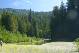 Select an image to enlarge