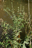 Select an image to enlarge