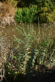 Select an image to enlarge