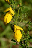 Select an image to enlarge