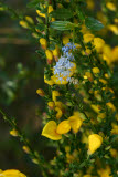 Select an image to enlarge