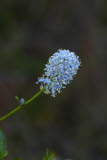 Select an image to enlarge