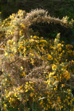 Select an image to enlarge