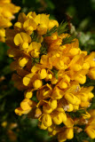 Select an image to enlarge
