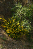 Select an image to enlarge