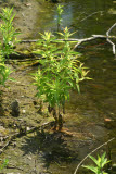 Select an image to enlarge