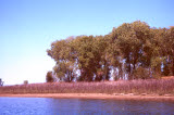 Select an image to enlarge